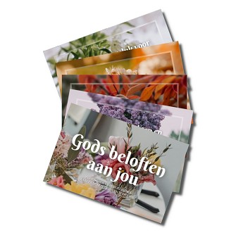 Gods beloften aan jou (kaartjes)